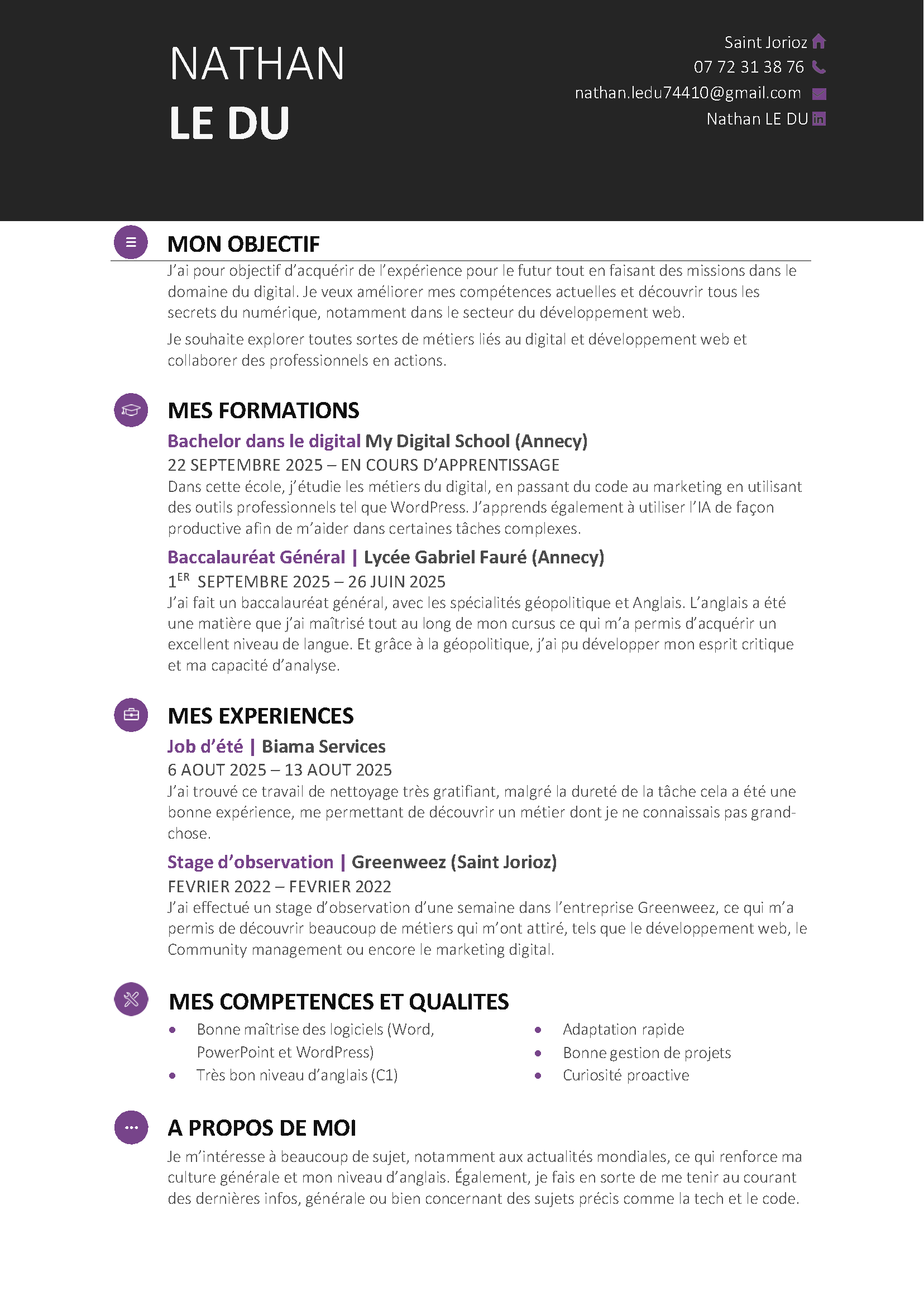 Aperçu du CV de Nathan Le Du